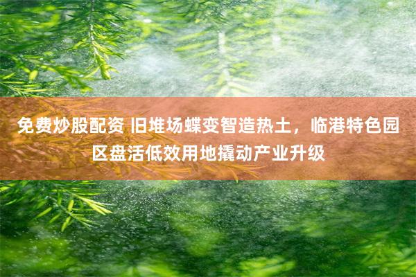 免费炒股配资 旧堆场蝶变智造热土，临港特色园区盘活低效用地撬动产业升级