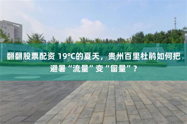 翻翻股票配资 19℃的夏天，贵州百里杜鹃如何把避暑“流量”变“留量”？