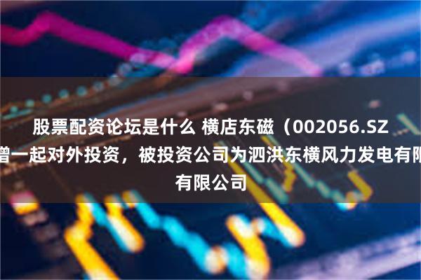股票配资论坛是什么 横店东磁（002056.SZ）新增一起对外投资，被投资公司为泗洪东横风力发电有限公司
