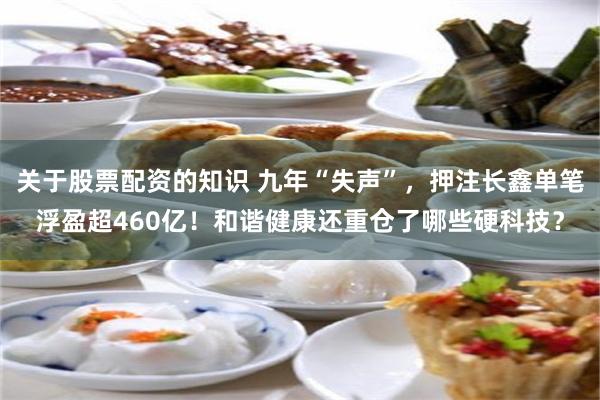 关于股票配资的知识 九年“失声”，押注长鑫单笔浮盈超460亿！和谐健康还重仓了哪些硬科技？