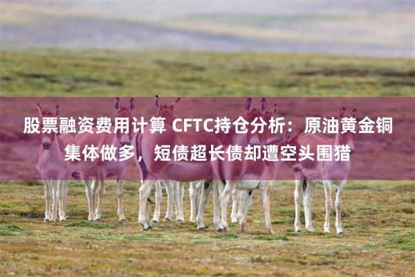 股票融资费用计算 CFTC持仓分析：原油黄金铜集体做多，短债超长债却遭空头围猎