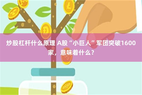 炒股杠杆什么原理 A股“小巨人”军团突破1600家，意味着什么？