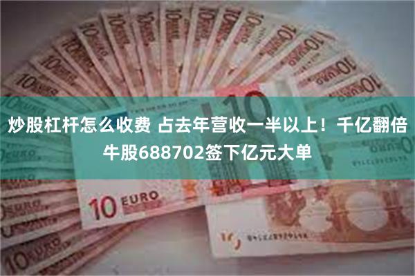 炒股杠杆怎么收费 占去年营收一半以上!千亿翻倍牛股688702签下亿元大单