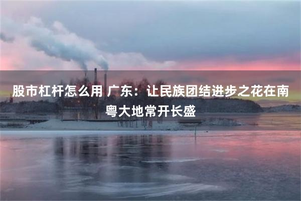 股市杠杆怎么用 广东：让民族团结进步之花在南粤大地常开长盛