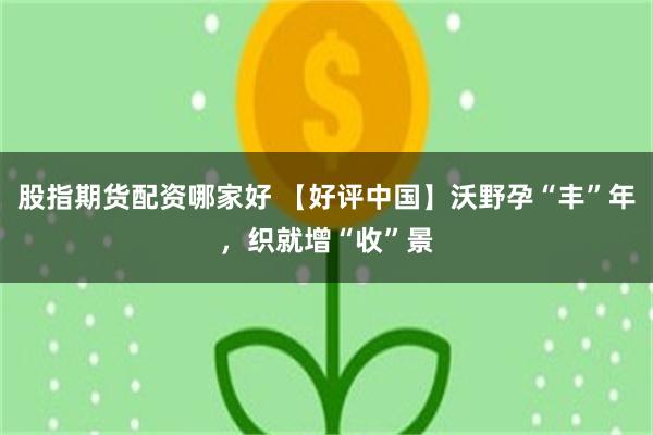 股指期货配资哪家好 【好评中国】沃野孕“丰”年，织就增“收”景