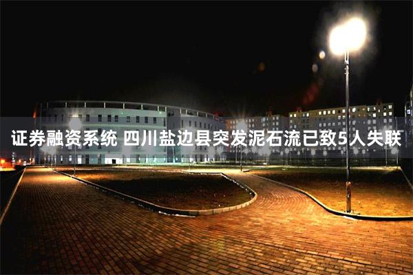 证券融资系统 四川盐边县突发泥石流已致5人失联
