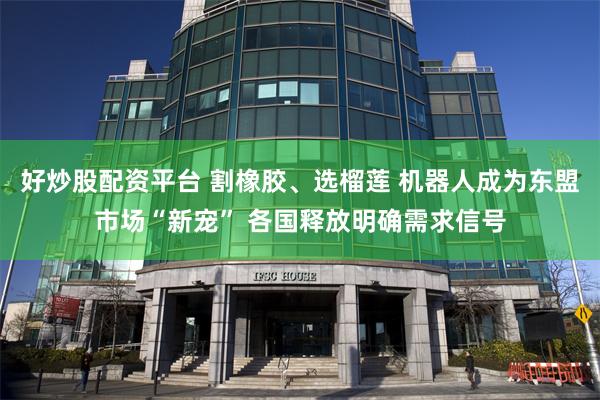 好炒股配资平台 割橡胶、选榴莲 机器人成为东盟市场“新宠” 各国释放明确需求信号
