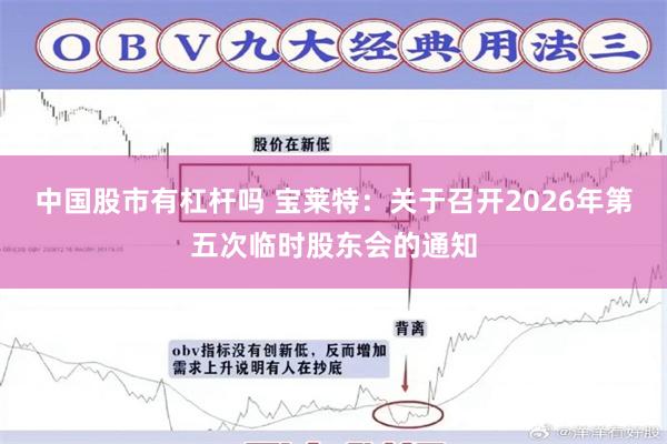 中国股市有杠杆吗 宝莱特：关于召开2026年第五次临时股东会的通知