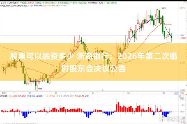 股票可以融资多少 浙商银行：2026年第二次临时股东会决议公告