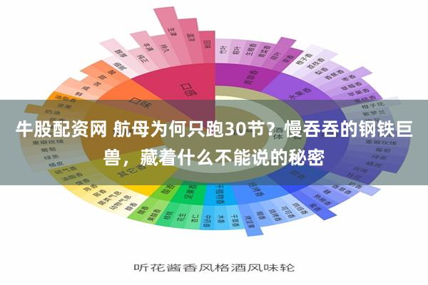牛股配资网 航母为何只跑30节？慢吞吞的钢铁巨兽，藏着什么不能说的秘密