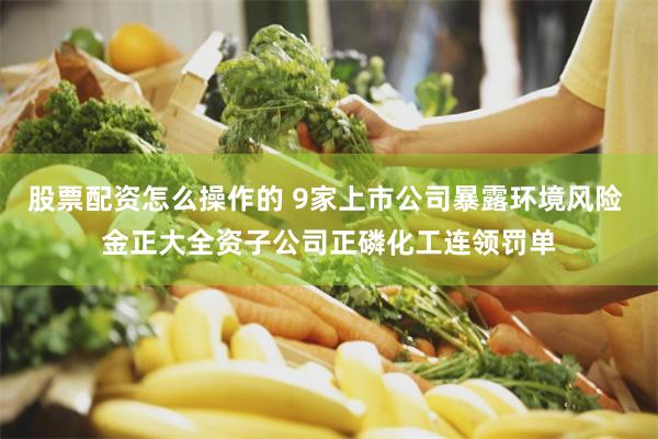 股票配资怎么操作的 9家上市公司暴露环境风险 金正大全资子公司正磷化工连领罚单