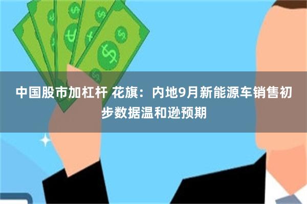 中国股市加杠杆 花旗：内地9月新能源车销售初步数据温和逊预期