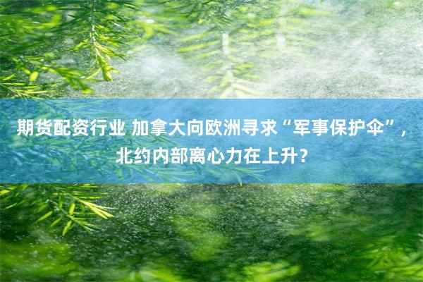 期货配资行业 加拿大向欧洲寻求“军事保护伞”，北约内部离心力在上升？